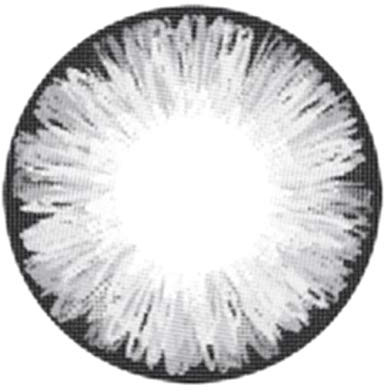 Matlens – EOS Farbige Kontaktlinsen mit Stärke circle lenses gray grau ICE II 2 Linsen 1 Kontaktlinsenbehälter 1 Pflegemittel 50ml