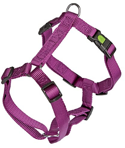 Geschirr MIAMI, lila, 25 mm, 75 - 100 cm