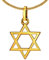 CLEVER SCHMUCK Goldener Anhänger Davidstern 12 mm aus 333 Gold 8 Karat mit vergoldeter Kette Panzer 45 cm