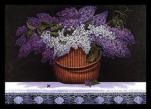 Buyartforless Kunstdruck, gerahmt, Motiv: Nanotucket von Robert Duff, 61 x 43 cm, mit violett-weißen und fliederfarbenen Blumen, dunkler Hintergrund, Schwarz
