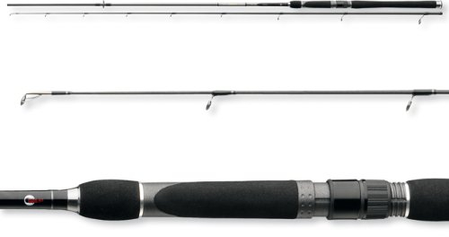 Cormoran Team X-Power Salzwasser Spinnrute 2,70m 8-35g Handmade