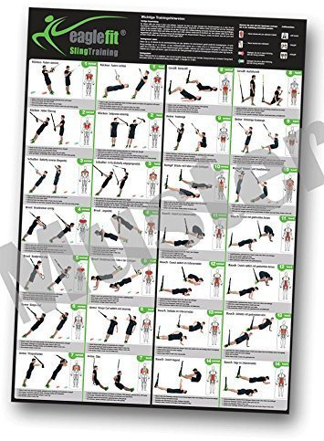 eaglefit Sling-Trainer Übungsposter mit 28 Übungen; 59,4 x 84 cm, auf A4 gefalzt