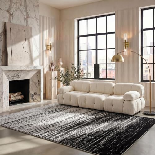 SAFAVIEH Adirondack Area Rug 6x9, Silver & Black ADR113A
