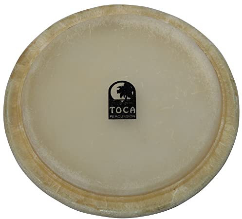 Toca 11 zoll Conga Head TP-3111HD