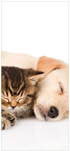 Wallario Selbstklebende Türtapete Katze und Hund in Harmonie - Kuschelnde Tiere - Türposter 93 x 205 cm Abwischbar, rückstandsfrei zu entfernen