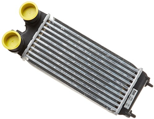 Nissens 96553 Intercooler, charger