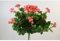 artplants.de Künstliches Geranium auf Steckstab, rosa, 40cm, Ø 40cm - Kunstgeranie - Kunstblume Geranie