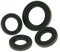 Wellendichtringsatz Motor für REX (Jinan Qingqi) RS 450 [QM50QT-6A]