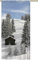 gardinen-for-life Schlaufenschal Winterlandschaft, Edler Schlaufenschal mit verdeckten Schlaufen, Hochwertiger Digitaldruck 140 cm Breit 245 cm Hoch
