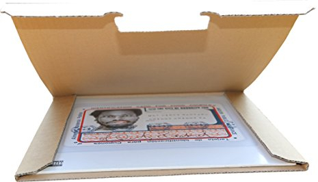 50 St. Deluxe Versandkartons für eine LP Schallplatte 325x325x4 mm Kartonage für Vinyl LP Maxi 12 Zoll extra stark