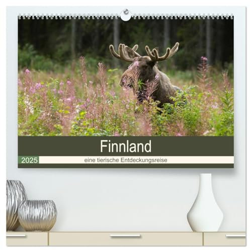 Finnland: eine tierische Entdeckungsreise (hochwertiger Premium Wandkalender 2025 DIN A2 quer), Kunstdruck in Hochglanz