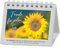 Freude für jeden Tag 2025: Aufstellkalender mit Blumenbildern und Bibelworten