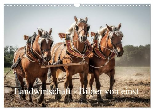 Landwirtschaft - Bilder von einst (Wandkalender 2025 DIN A3 quer), CALVENDO Monatskalender: Bilder landwirtschaftlicher Szenen unserer Eltern (CALVENDO Menschen)