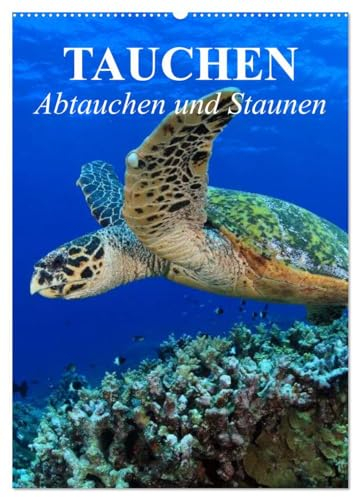 Tauchen - Abtauchen und Staunen (Wandkalender 2025 DIN A2 hoch), CALVENDO Monatskalender: Abtauchen in die faszinierende Unterwasserwelt unserer Meere (CALVENDO Natur)