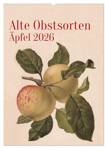 Alte Obstsorten - Äpfel 2026 (Wandkalender 2026 DIN A2 hoch), CALVENDO Monatskalender: Alte Obstsorten werden in historischen Farblithographien ... im eigenen Garten. (CALVENDO Kunst)