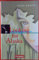 Cornelsen Senior English Library - Literatur - Ab 10. Schuljahr / B1: Looking for Alaska - Textband mit Annotationen