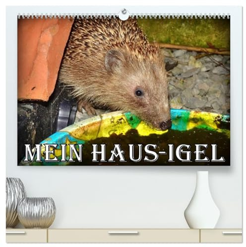 Mein Haus-Igel (hochwertiger Premium Wandkalender 2026 DIN A2 quer), Kunstdruck in Hochglanz: Das Leben eines Igels in seinem Kölner Igel-Haus (CALVENDO Tiere)