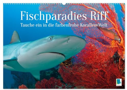 Fischparadies Riff (Wandkalender 2026 DIN A2 quer), CALVENDO Monatskalender: Fische am Riff: Tauche ein in die farbenfrohe Korallen-Welt (CALVENDO Tiere)