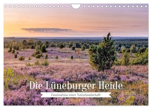 Die Lüneburger Heide - Faszination einer Naturlandschaft (Wandkalender 2026 DIN A4 quer), CALVENDO Monatskalender: Erleben Sie die einmalige Natur im ... auf beeindruckenden Bildern (CALVENDO Natur)