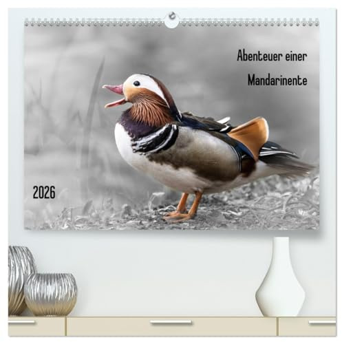 Abenteuer einer Mandarinente (hochwertiger Premium Wandkalender 2026 DIN A2 quer), Kunstdruck in Hochglanz: Emotionen einer Mandarinente mit monochromen Hintergrund (CALVENDO Natur)