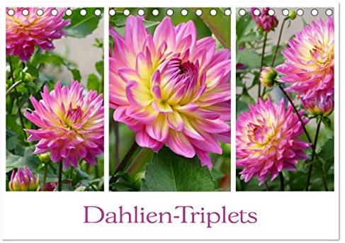 Dahlien-Triplets (Tischkalender 2026 DIN A5 quer), CALVENDO Monatskalender: Auf jeder Kalenderseite: Dahlien im Dreierpack (CALVENDO Natur)