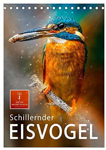 Schillernder Eisvogel (Tischkalender 2026 DIN A5 hoch), CALVENDO Monatskalender: Eindrucksvolle Bilder der bunten Vögel. (CALVENDO Tiere)