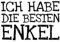 Ich Habe Die Besten Enkel: Notizbuch Journal Tagebuch 100 linierte Seiten | 6x9 Zoll (ca. DIN A5)