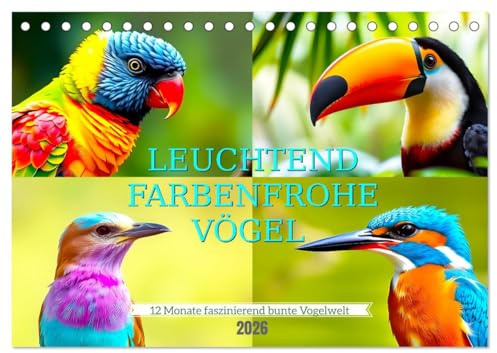 Leuchtend farbenfrohe Vögel (Tischkalender 2026 DIN A5 quer), CALVENDO Monatskalender: Farbenprächtige bunte liebenswerte Vögel (CALVENDO Tiere)