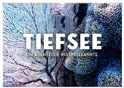 Tiefsee - Ein Abenteuer ins Unbekannte. (Wandkalender 2026 DIN A2 quer), CALVENDO Monatskalender: Es gibt noch so viel zu entdecken. (CALVENDO Natur)