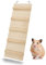 PETGARD Holz-Leiter WEGA 35 - Käfig-Erweiterung aus Holz - Käfig-Zubehör für Nager - Leiter aus Holz für Mäusekäfig - Stall-Zubehör 35 x 12 x 1 cm