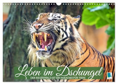Leben im Dschungel: Der Regenwald ist ein Paradies für Tiere (Wandkalender 2026 DIN A3 quer), CALVENDO Monatskalender: Die faszinierende Tierwelt der Regenwälder Südostasiens (CALVENDO Tiere)