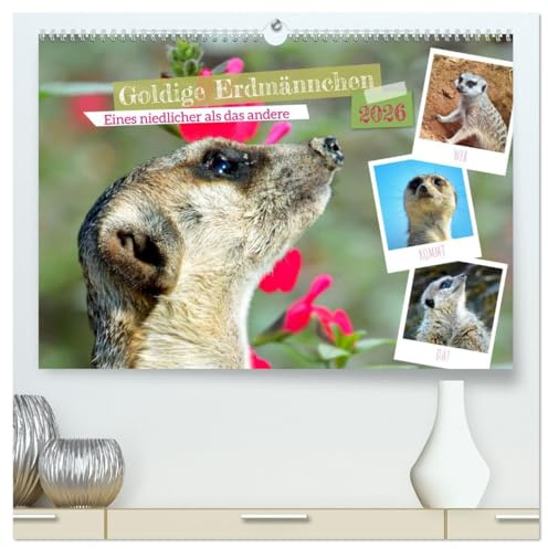 Goldige Erdmännchen (hochwertiger Premium Wandkalender 2026 DIN A2 quer), Kunstdruck in Hochglanz: Eines niedlicher als das andere (CALVENDO Tiere)