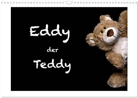 Eddy, der Teddy (Wandkalender 2026 DIN A3 quer), CALVENDO Monatskalender: Alltagssituationen aus dem Leben eines Kuscheltiers (CALVENDO Spass)