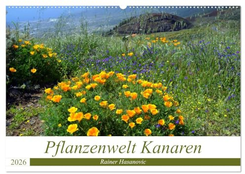 Pflanzenwelt Kanaren (Wandkalender 2026 DIN A2 quer), CALVENDO Monatskalender: Traumhafte Bilder von einzigartigen Pflanzen der Kanaren. (CALVENDO Natur)