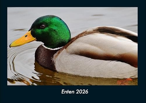 Enten 2026 Fotokalender DIN A4: Monatskalender mit Bild-Motiven von Haustieren, Bauernhof, wilden Tieren und Raubtieren