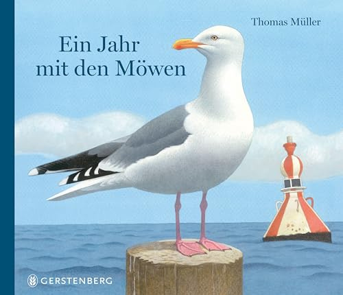 Ein Jahr mit den Möwen