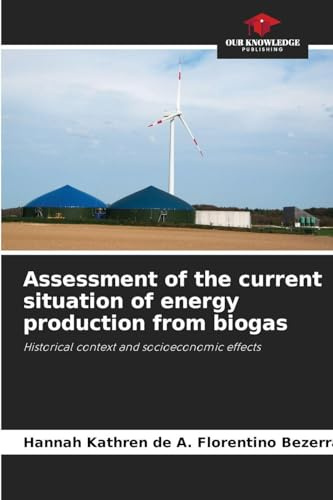 Assessment of the current situation of energy production from biogas: Historical context and socioeconomic effects