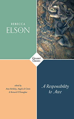 A Responsibility to Awe (Carcanet Classics)