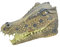 Bristol Novelty BM446 Masque de crocodile, multicolore, taille unique Halloween