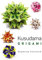 Kusudama Origami (Dover Books on Papercraft and Origami)