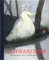 Schwanensee: Bilderbuch