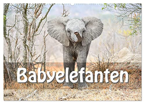Babyelefanten (Wandkalender 2026 DIN A2 quer), CALVENDO Monatskalender: Grosse Schlappohren und unbändige Energiebündel, die kleinen Grossen (CALVENDO Tiere)