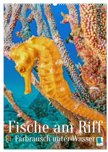 Farbrausch unter Wasser: Fische am Riff (Wandkalender 2026 DIN A2 hoch), CALVENDO Monatskalender: Leuchtende bunte Fische und farbenfrohe Korallen-Welt (Planer-Kalendarium) (CALVENDO Tiere)