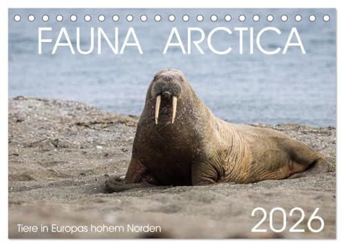 Fauna arctica (Tischkalender 2026 DIN A5 quer), CALVENDO Monatskalender: Tiere in Europas hohem Norden (CALVENDO Natur)