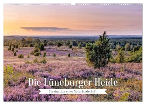 Die Lüneburger Heide - Faszination einer Naturlandschaft (Wandkalender 2026 DIN A2 quer), CALVENDO Monatskalender: Erleben Sie die einmalige Natur im ... auf beeindruckenden Bildern (CALVENDO Natur)