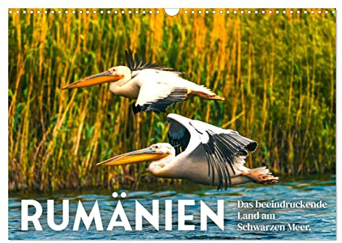 Rumänien - Das beeindruckende Land am Schwarzen Meer. (Wandkalender 2026 DIN A3 quer), CALVENDO Monatskalender: Bären, Dracula unberührte Natur. (CALVENDO Orte)