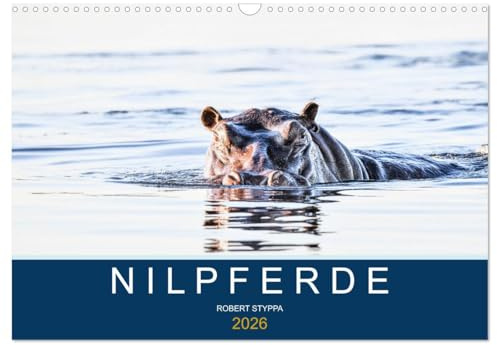 Nilpferde, Kolosse in Afrika (Wandkalender 2026 DIN A3 quer), CALVENDO Monatskalender: Atemberaubende Aufnahmen afrikanischer Flusspferde (CALVENDO Tiere)