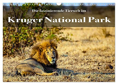 Faszinierende Tierwelt des Kruger National Parks (Wandkalender 2026 DIN A3 quer), CALVENDO Monatskalender: Die unglaubliche Artenvielfalt des Kruger ... fasziniert immer wieder! (CALVENDO Natur)