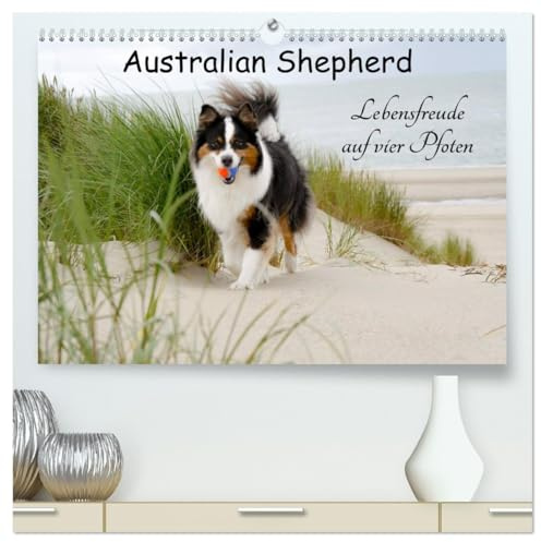 Australian Shepherd - Lebensfreude auf vier Pfoten (hochwertiger Premium Wandkalender 2026 DIN A2 quer), Kunstdruck in Hochglanz: Die Abenteuer eines powervollen Australian Shepherd (CALVENDO Tiere)