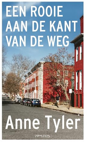 Een rooie aan de kant van de weg